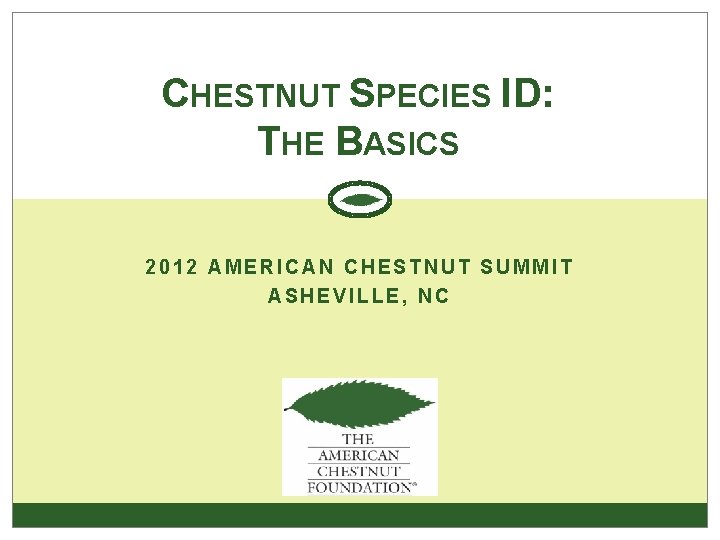 CHESTNUT SPECIES ID: THE BASICS 2012 AMERICAN CHESTNUT SUMMIT ASHEVILLE, NC 