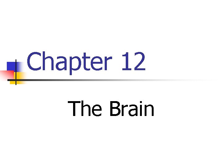 Chapter 12 The Brain 