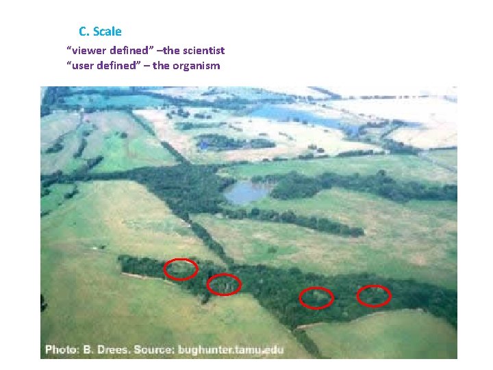 C. Scale “viewer defined” –the scientist “user defined” – the organism 