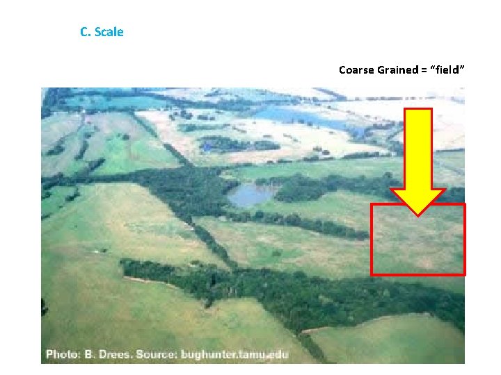 C. Scale Coarse Grained = “field” 