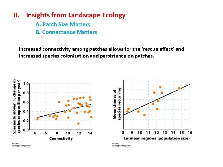 II. Insights from Landscape Ecology A. Patch Size Matters B. Connectance Matters Increased connectivity