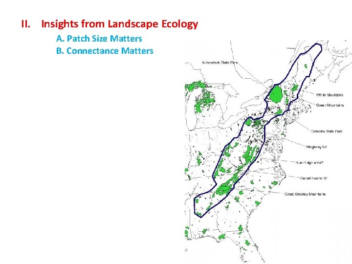 II. Insights from Landscape Ecology A. Patch Size Matters B. Connectance Matters 