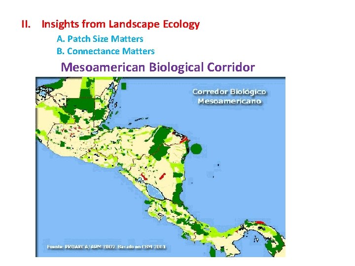 II. Insights from Landscape Ecology A. Patch Size Matters B. Connectance Matters Mesoamerican Biological