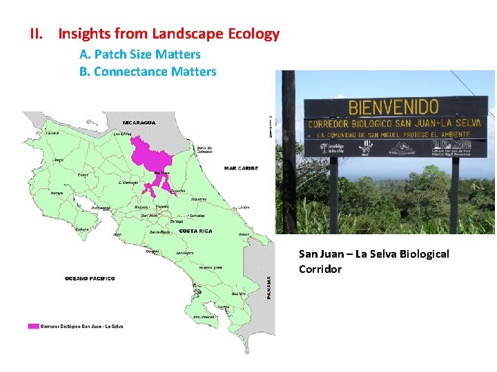 II. Insights from Landscape Ecology A. Patch Size Matters B. Connectance Matters San Juan