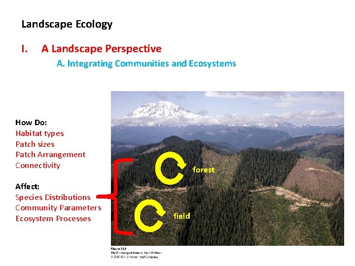 Landscape Ecology I. A Landscape Perspective A. Integrating Communities and Ecosystems How Do: Habitat