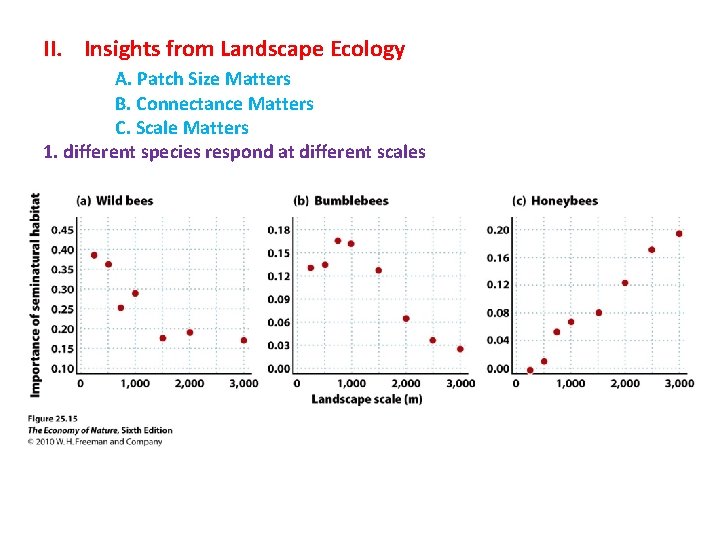 II. Insights from Landscape Ecology A. Patch Size Matters B. Connectance Matters C. Scale