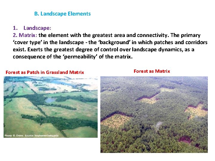 B. Landscape Elements 1. Landscape: 2. Matrix: the element with the greatest area and