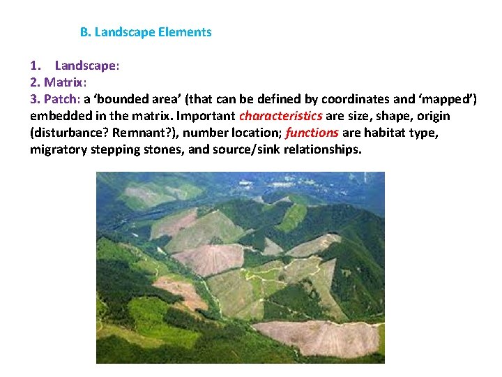 B. Landscape Elements 1. Landscape: 2. Matrix: 3. Patch: a ‘bounded area’ (that can