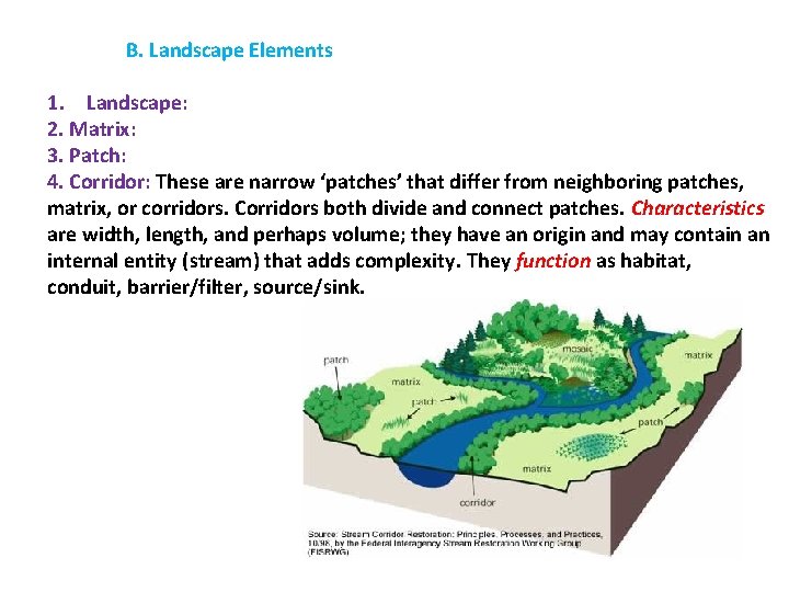 B. Landscape Elements 1. Landscape: 2. Matrix: 3. Patch: 4. Corridor: These are narrow