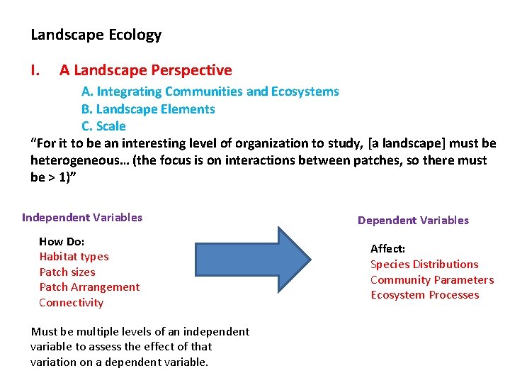 Landscape Ecology I. A Landscape Perspective A. Integrating Communities and Ecosystems B. Landscape Elements