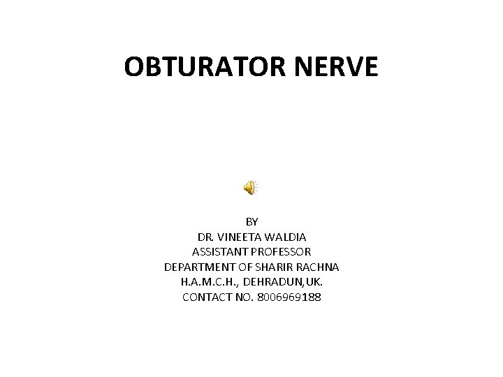 OBTURATOR NERVE BY DR. VINEETA WALDIA ASSISTANT PROFESSOR DEPARTMENT OF SHARIR RACHNA H. A.