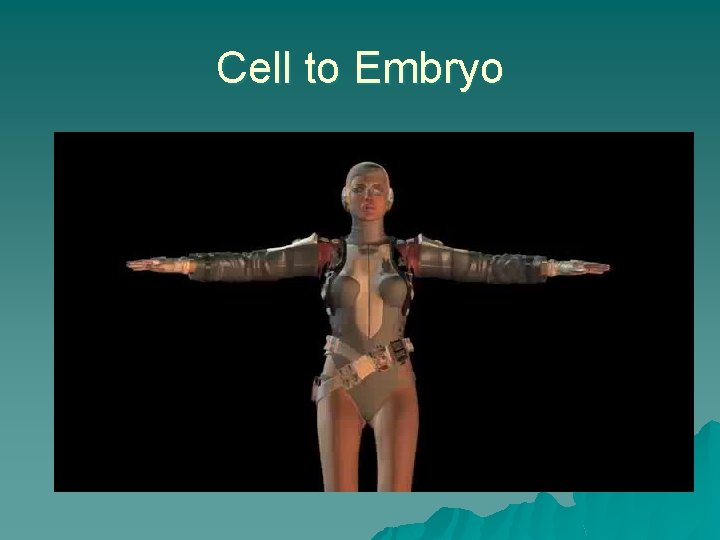 Cell to Embryo 