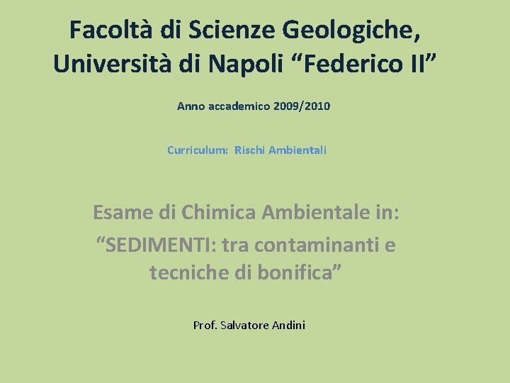 Facoltà di Scienze Geologiche, Università di Napoli “Federico II” Anno accademico 2009/2010 Curriculum: Rischi