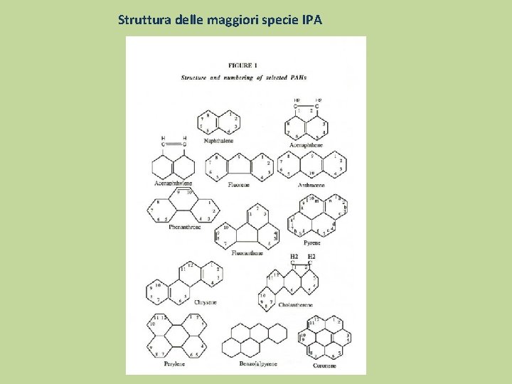 Struttura delle maggiori specie IPA 