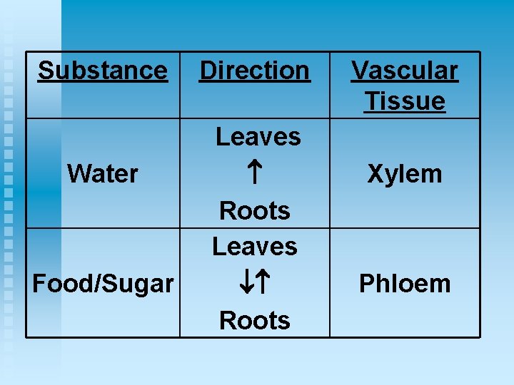 Substance Water Food/Sugar Direction Leaves Roots Vascular Tissue Xylem Phloem 