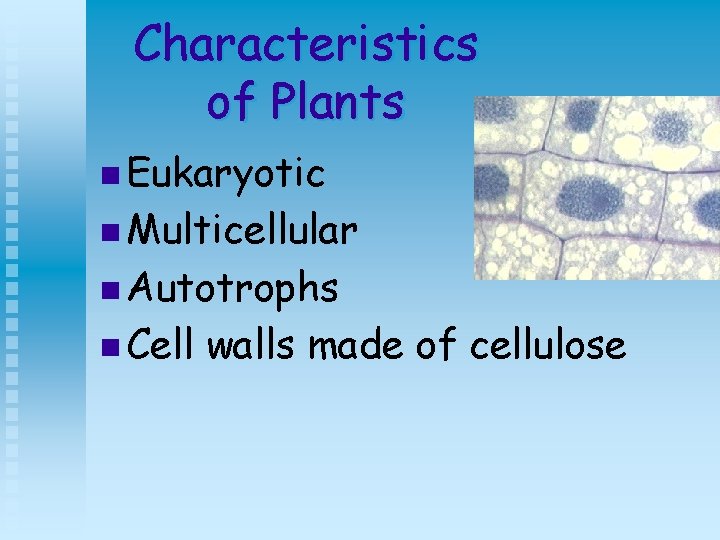 Characteristics of Plants n Eukaryotic n Multicellular n Autotrophs n Cell walls made of