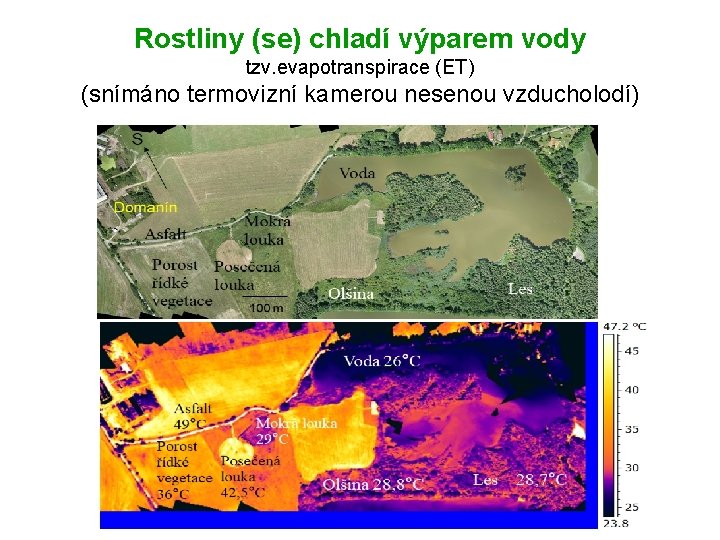 Rostliny (se) chladí výparem vody tzv. evapotranspirace (ET) (snímáno termovizní kamerou nesenou vzducholodí) 