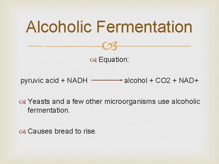 Alcoholic Fermentation Equation: pyruvic acid + NADH alcohol + CO 2 + NAD+ Yeasts Alcoholic Fermentation Equation: pyruvic acid + NADH alcohol + CO 2 + NAD+ Yeasts