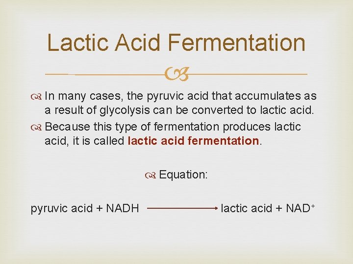 Lactic Acid Fermentation In many cases, the pyruvic acid that accumulates as a result Lactic Acid Fermentation In many cases, the pyruvic acid that accumulates as a result