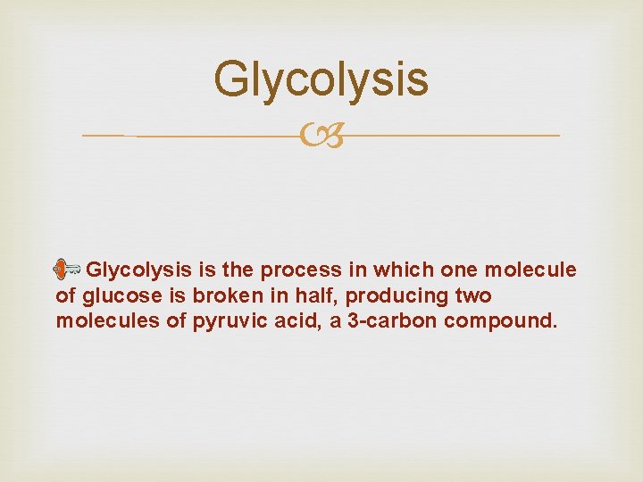 Glycolysis is the process in which one molecule of glucose is broken in half, Glycolysis is the process in which one molecule of glucose is broken in half,