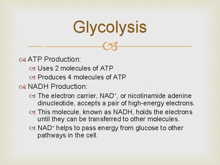 Glycolysis ATP Production: Uses 2 molecules of ATP Produces 4 molecules of ATP NADH Glycolysis ATP Production: Uses 2 molecules of ATP Produces 4 molecules of ATP NADH