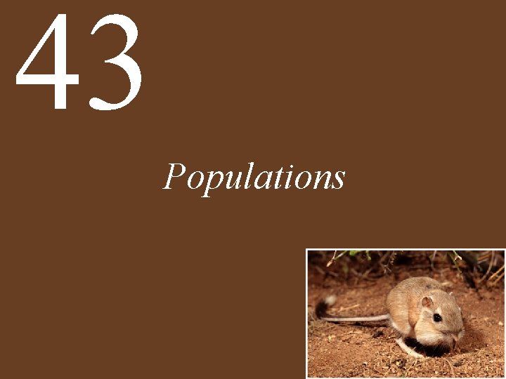 43 Populations 