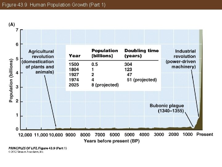 Figure 43. 9 Human Population Growth (Part 1) 