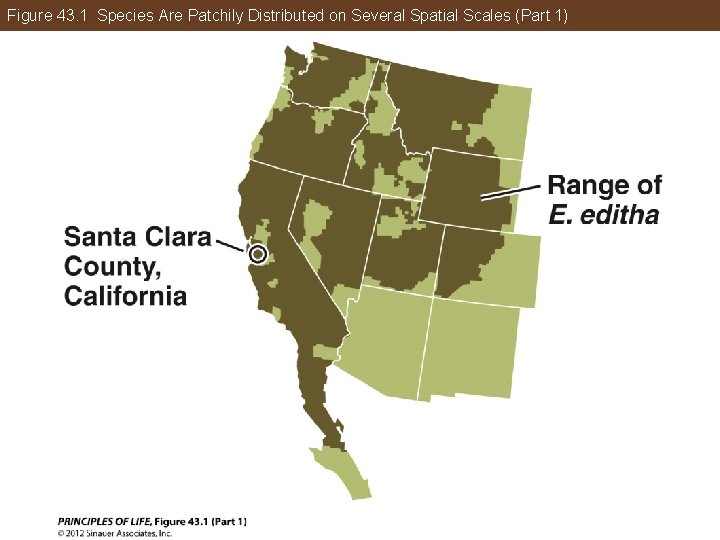 Figure 43. 1 Species Are Patchily Distributed on Several Spatial Scales (Part 1) 