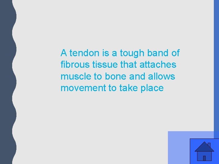 A tendon is a tough band of fibrous tissue that attaches muscle to bone