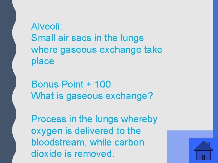 Alveoli: Small air sacs in the lungs where gaseous exchange take place Bonus Point
