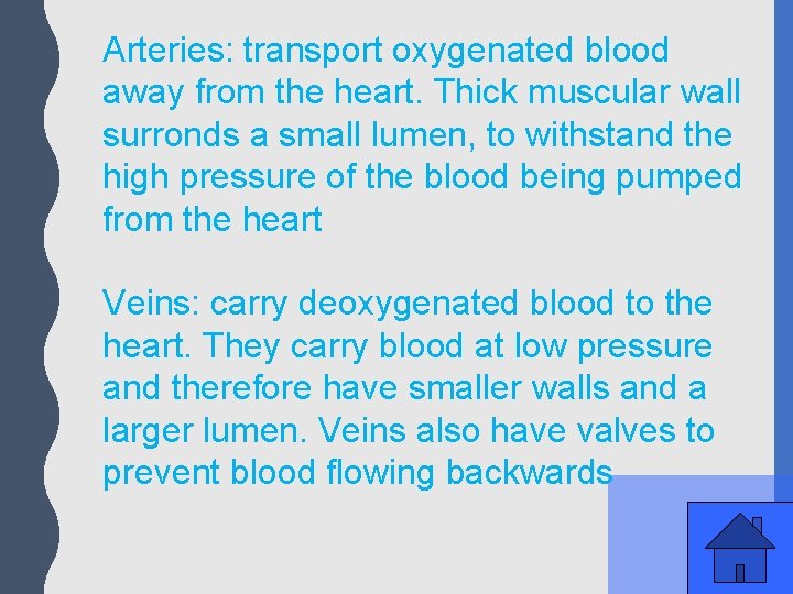 Arteries: transport oxygenated blood away from the heart. Thick muscular wall surronds a small