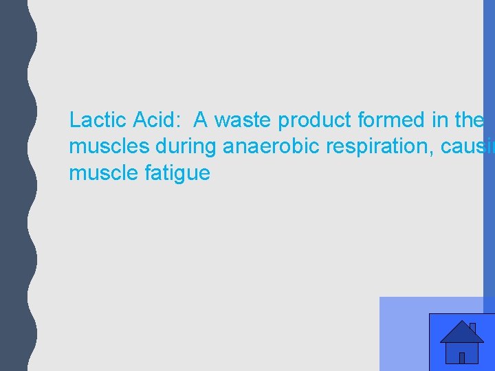 Lactic Acid: A waste product formed in the muscles during anaerobic respiration, causin muscle