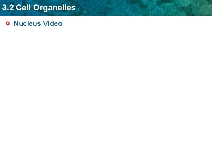 3. 2 Cell Organelles Nucleus Video 