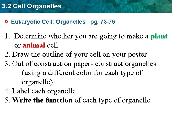 3. 2 Cell Organelles Eukaryotic Cell: Organelles pg. 73 -79 1. Determine whether you