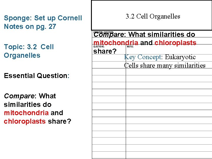 3. 2 Cell Organelles Sponge: Set up Cornell Notes on pg. 27 Topic: 3.