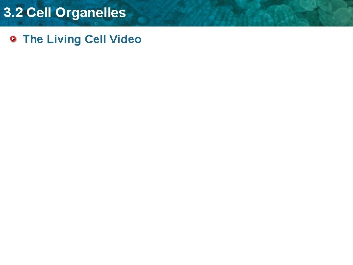 3. 2 Cell Organelles The Living Cell Video 