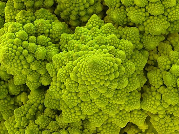 Are these rules for real? Yes. . . and no. 