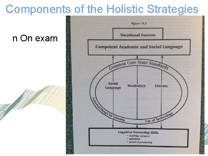 Components of the Holistic Strategies Approach n On exam 
