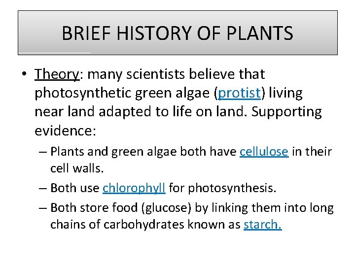 BRIEF HISTORY OF PLANTS • Theory: many scientists believe that photosynthetic green algae (protist)