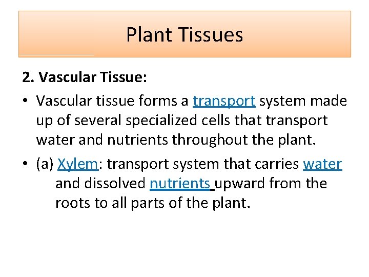 Plant Tissues 2. Vascular Tissue: • Vascular tissue forms a transport system made up