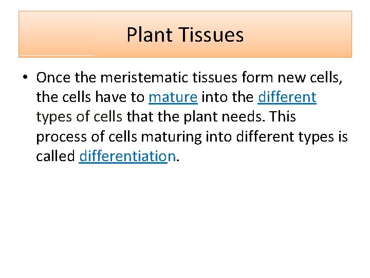 Plant Tissues • Once the meristematic tissues form new cells, the cells have to