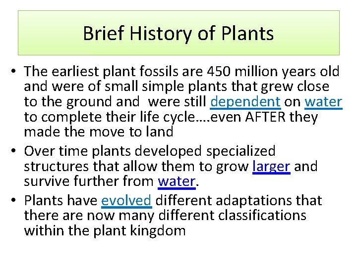 Brief History of Plants • The earliest plant fossils are 450 million years old