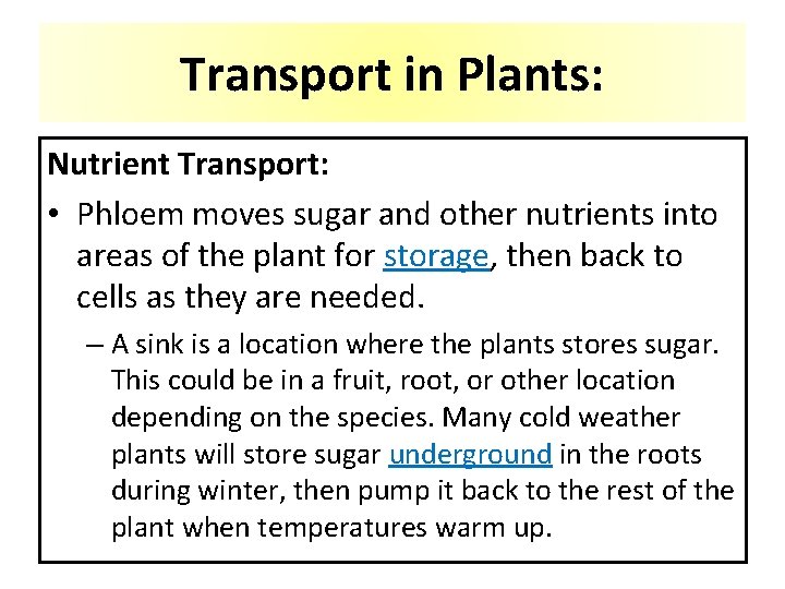 Transport in Plants: Nutrient Transport: • Phloem moves sugar and other nutrients into areas