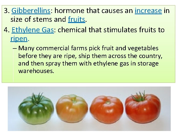3. Gibberellins: hormone that causes an increase in size of stems and fruits. 4.