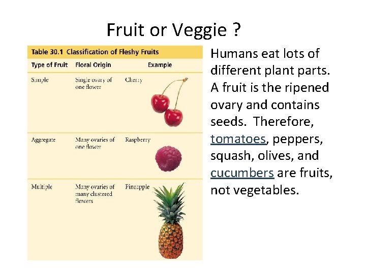 Fruit or Veggie ? Humans eat lots of different plant parts. A fruit is