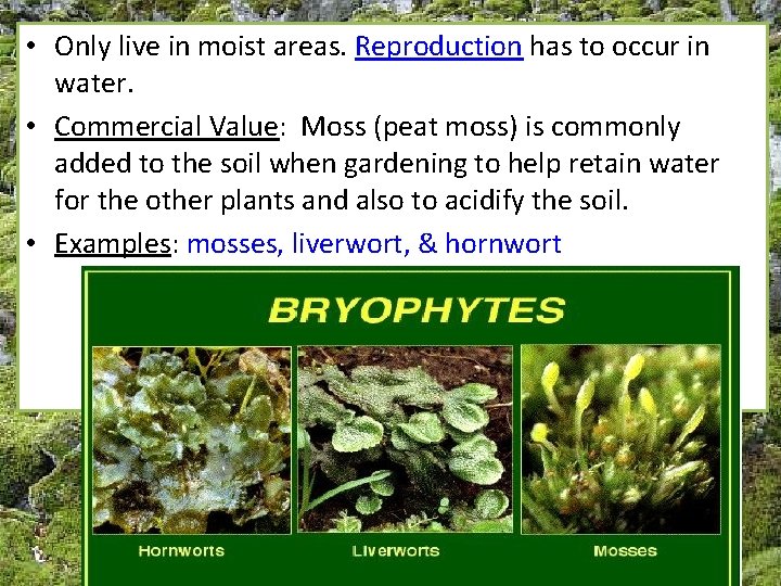  • Only live in moist areas. Reproduction has to occur in water. •