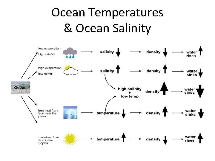 Ocean Temperatures & Ocean Salinity 