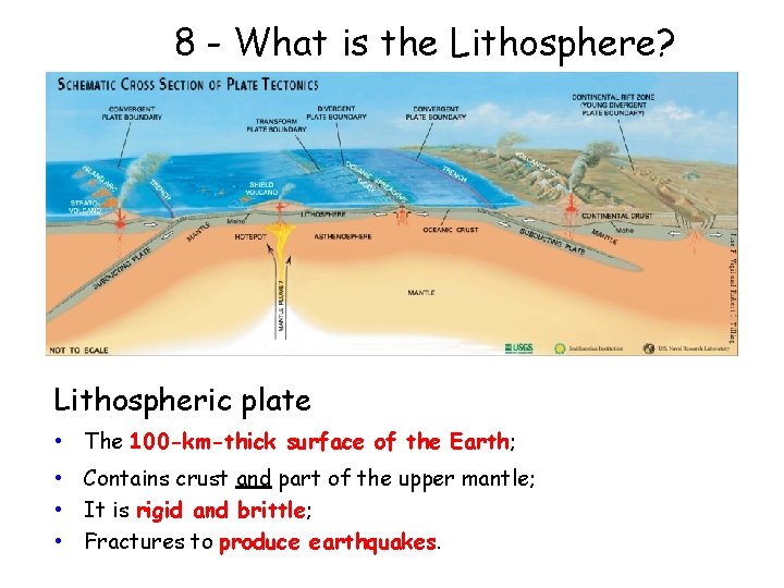 8 - What is the Lithosphere? Lithospheric plate • The 100 -km-thick surface of