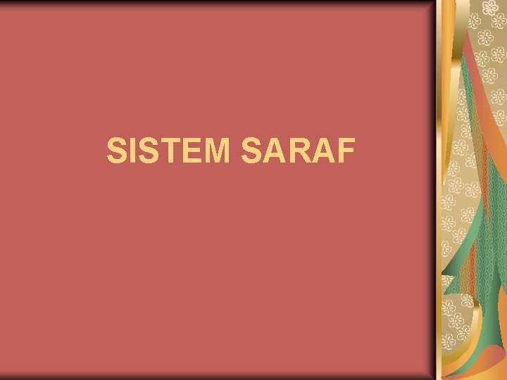 SISTEM SARAF 