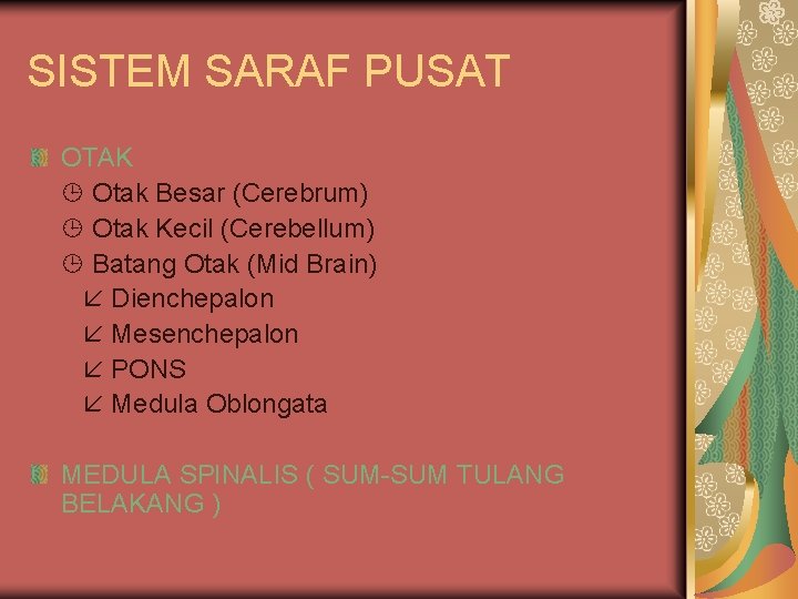 SISTEM SARAF PUSAT OTAK Otak Besar (Cerebrum) Otak Kecil (Cerebellum) Batang Otak (Mid Brain)